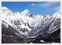 Kauri Tapoban Trekking, Uttarakhand Tours